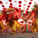 thue-lan-su-rong-chuyen-nghiep-gia-re-10