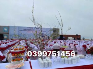 Img 1758116994028 1758205552303