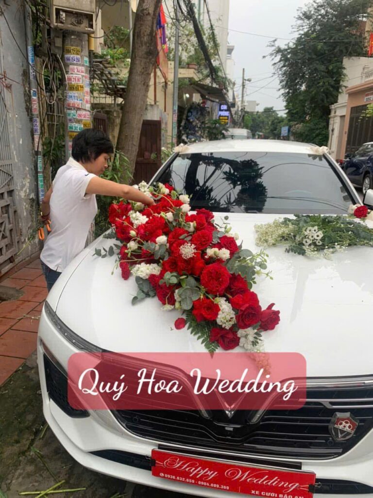 Img 1758117028473 1758205578954